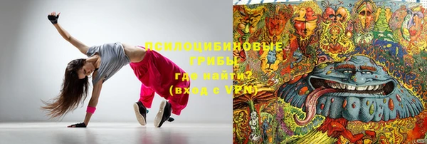 apvp Алзамай