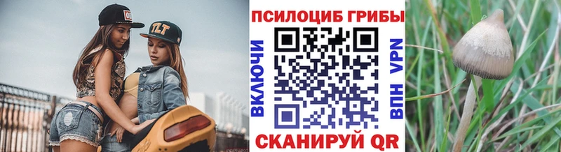 Галлюциногенные грибы Cubensis  Бежецк 